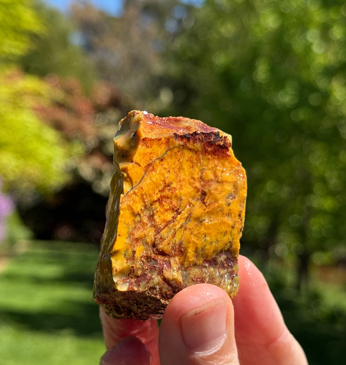 Dendritic opalite from Grant's Patch, Western Australia, view 4 of 4