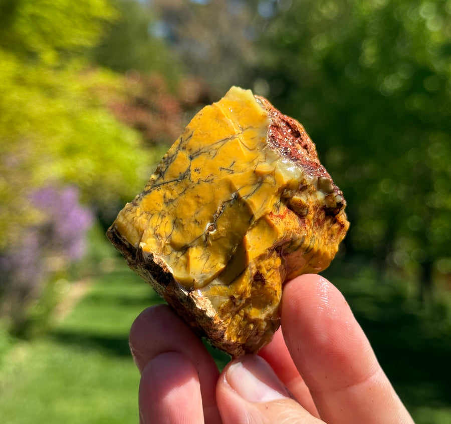 Dendritic opalite from Grant's Patch, Western Australia, view 2 of 4