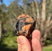 Staurolite from Yinnietharra, Western Australia, view 4 of 4