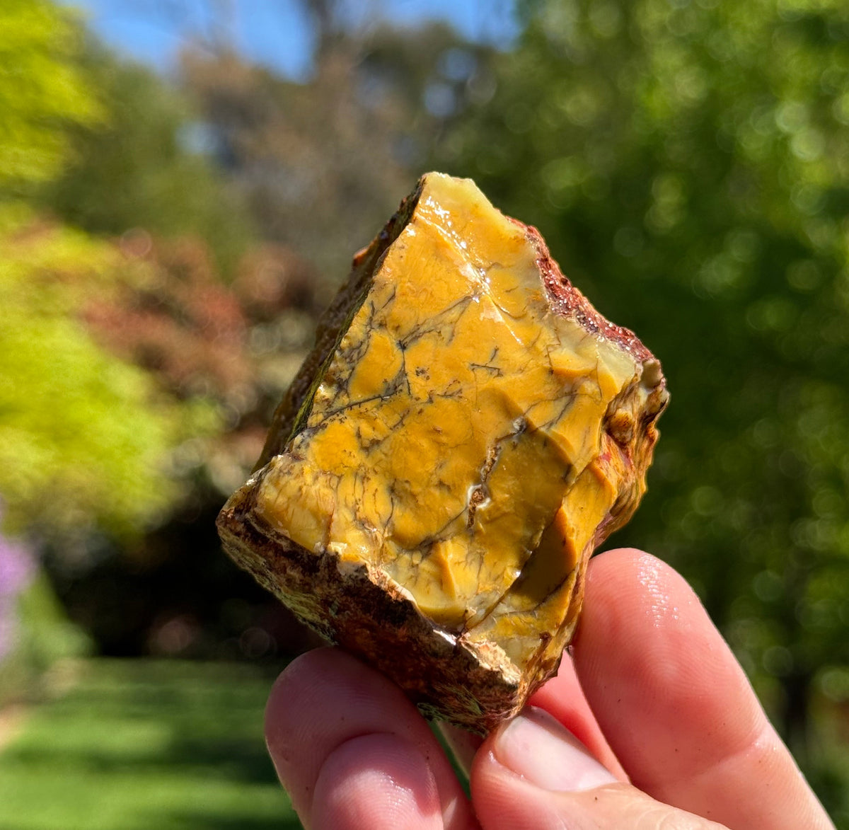 Dendritic opalite from Grant's Patch, Western Australia, view 1 of 4