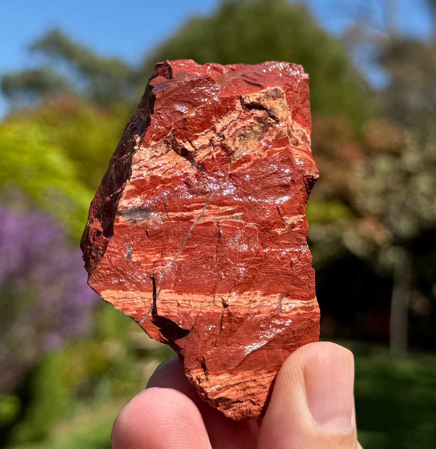 Snakeskin jasper rough from Turee Creek, Western Australia, view 1 of 2