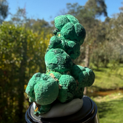 Malachite from Rum Jungle, Northern Territory, view 3 of 5