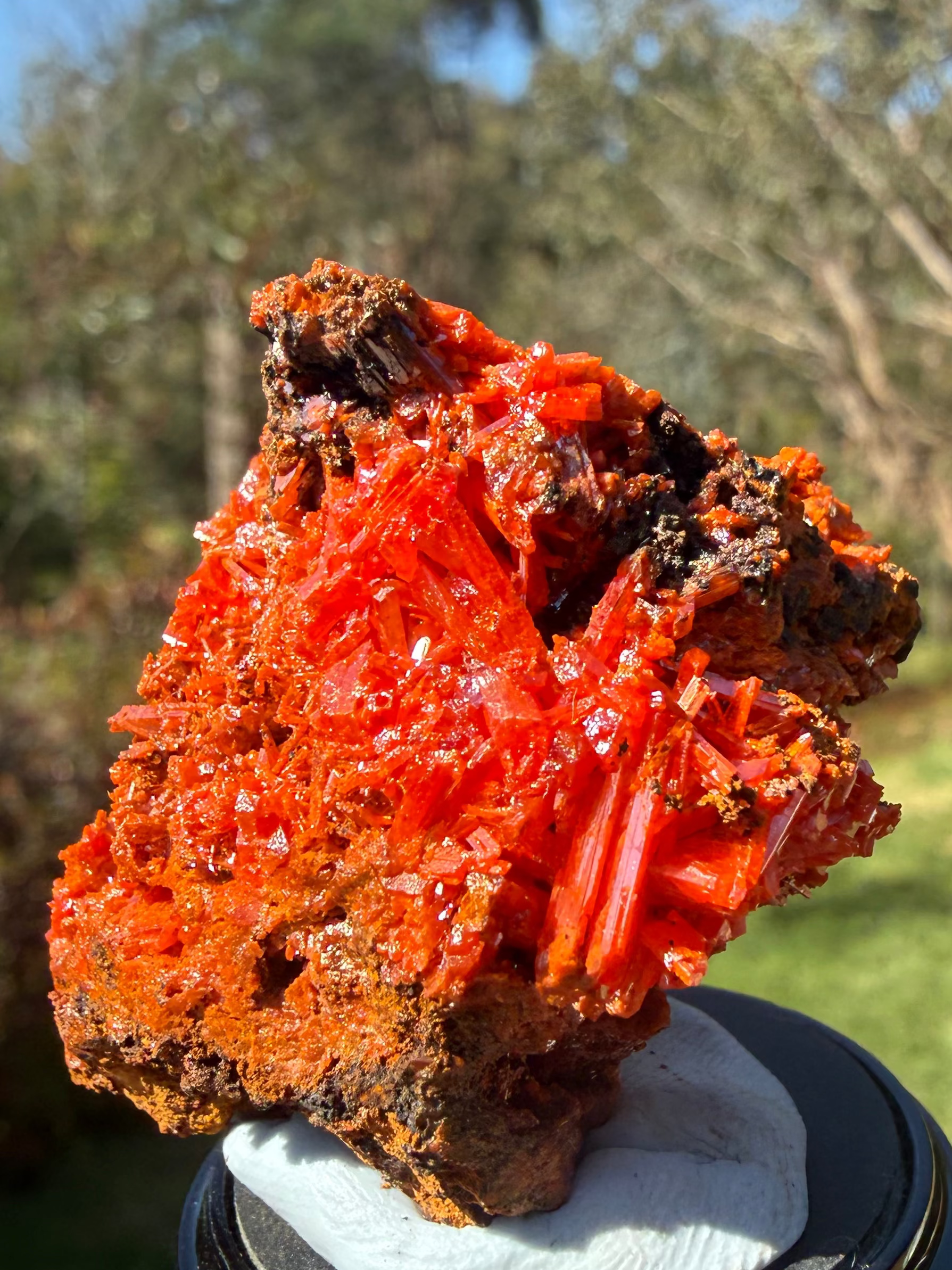 Crocoite from the Red Lead Mine, Dundas, Tasmania, view 3 of 11