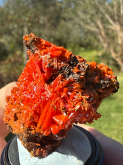 Crocoite from the Red Lead Mine, Dundas, Tasmania, view 4 of 11