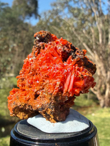 Crocoite from the Red Lead Mine, Dundas, Tasmania, view 1 of 11