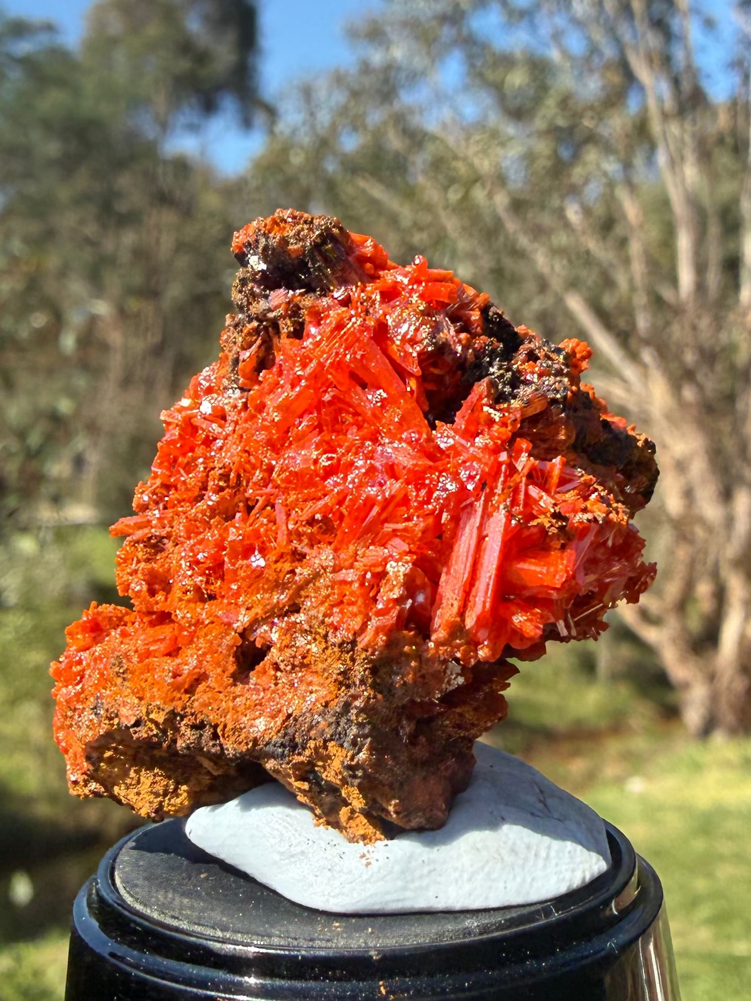 Crocoite from the Red Lead Mine, Dundas, Tasmania, view 1 of 11