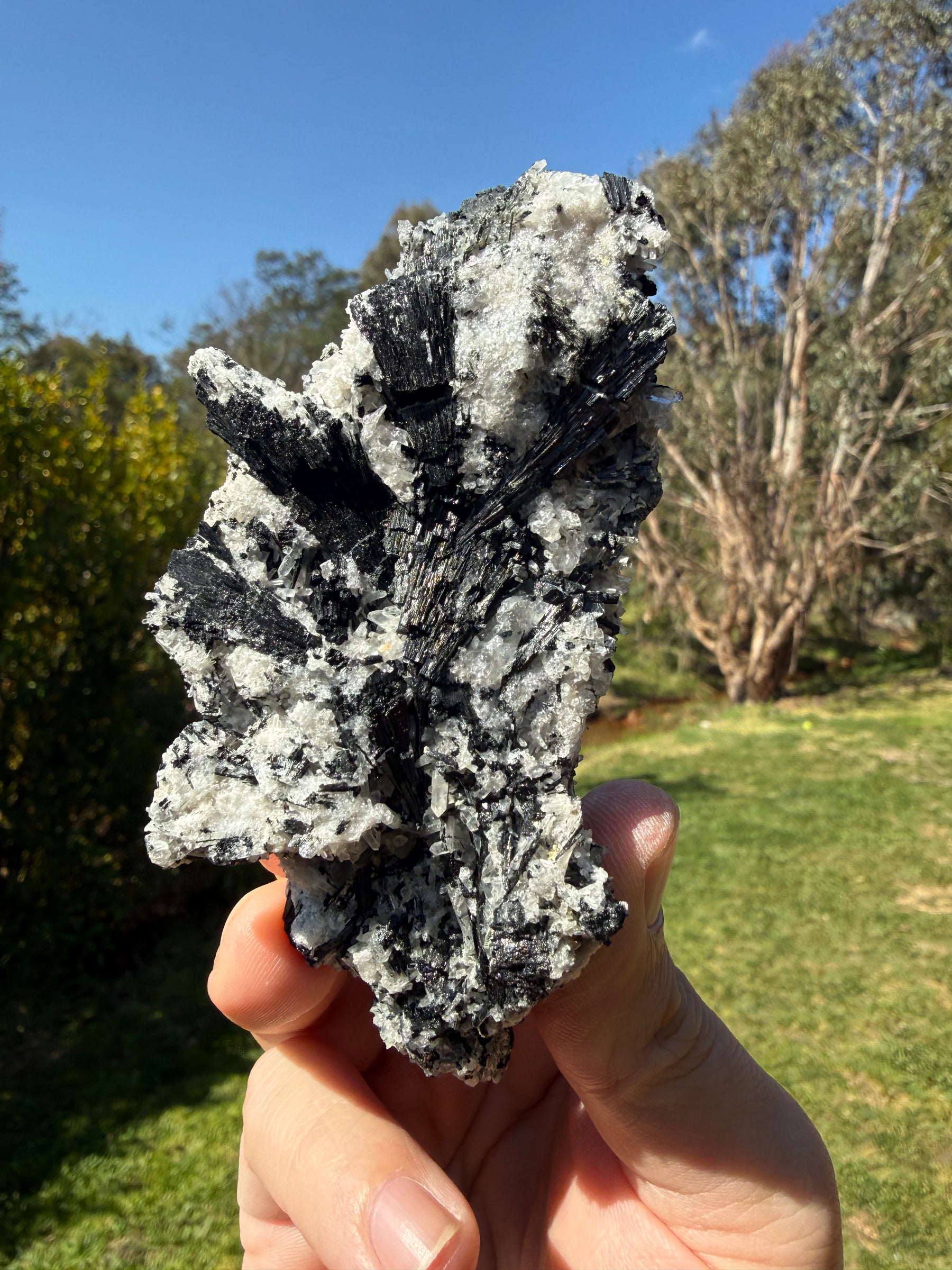 Black tourmaline in quartz from western Tasmania, view 5 of 5