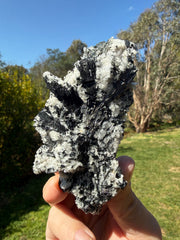 Black tourmaline in quartz from western Tasmania, view 4 of 5