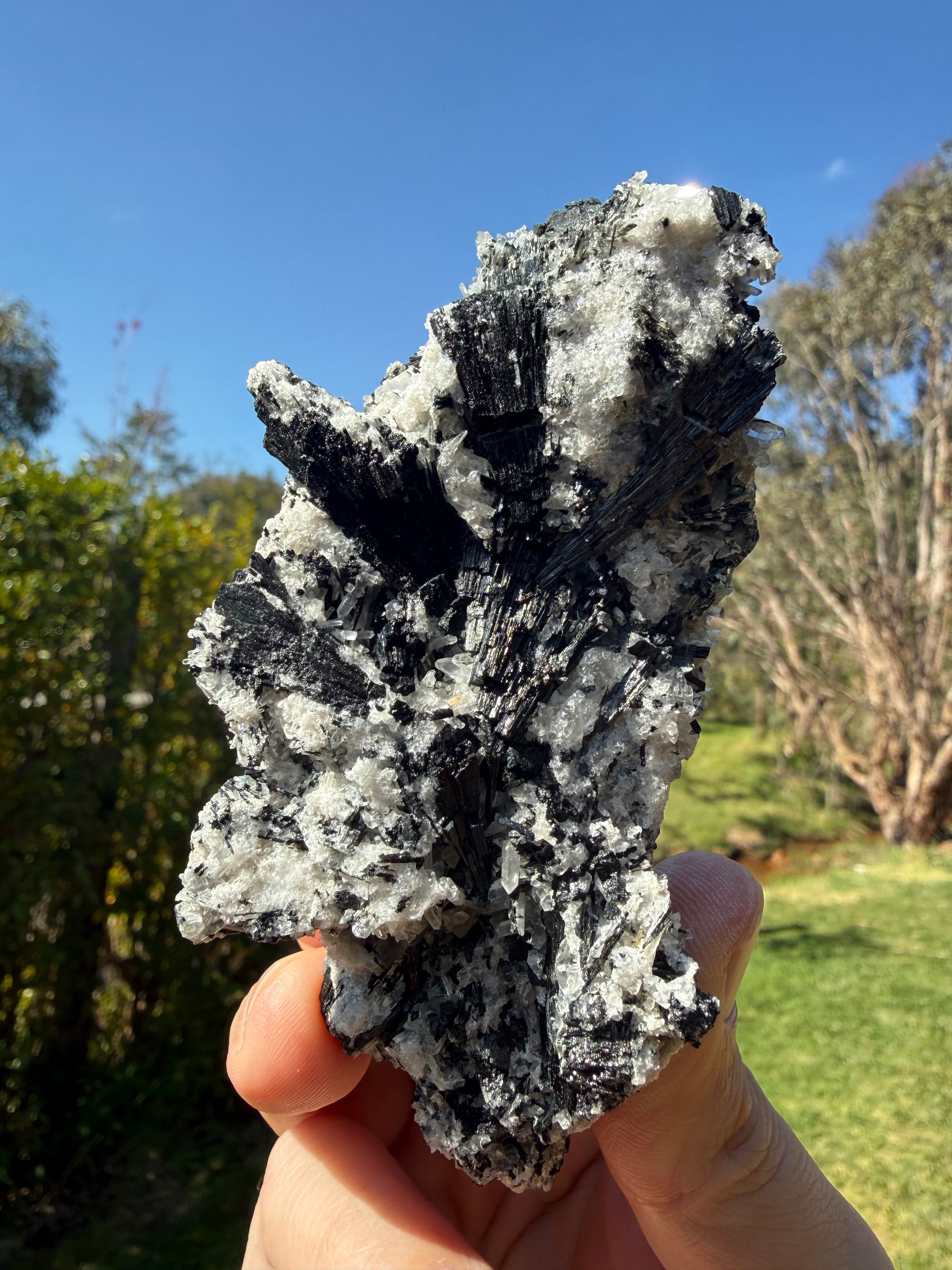 Black tourmaline in quartz from western Tasmania, view 3 of 5