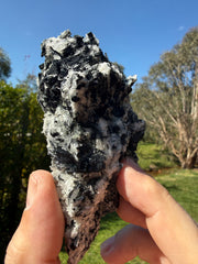 Black tourmaline in quartz from western Tasmania, view 2 of 5