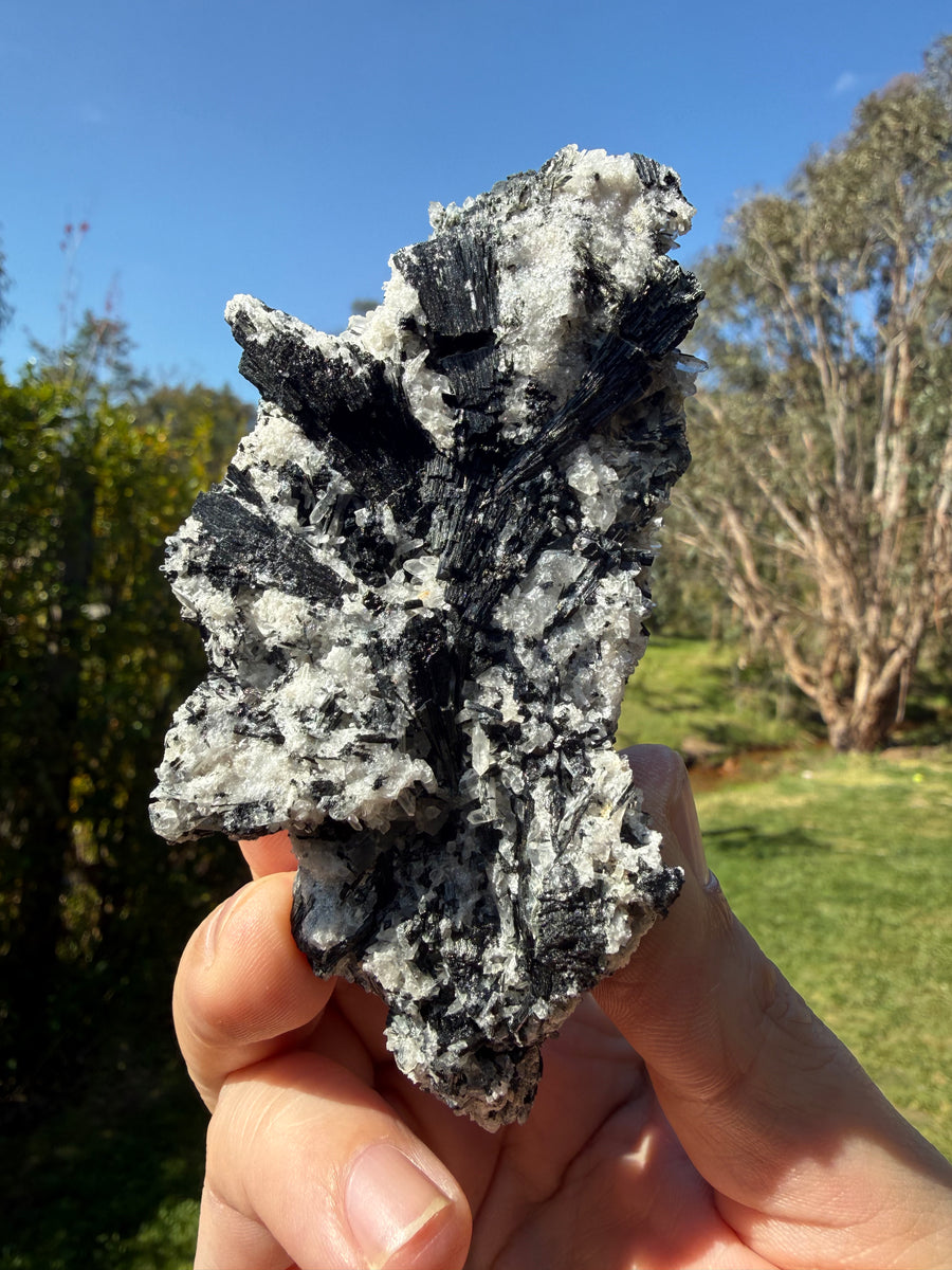 Black tourmaline in quartz from western Tasmania, view 1 of 5