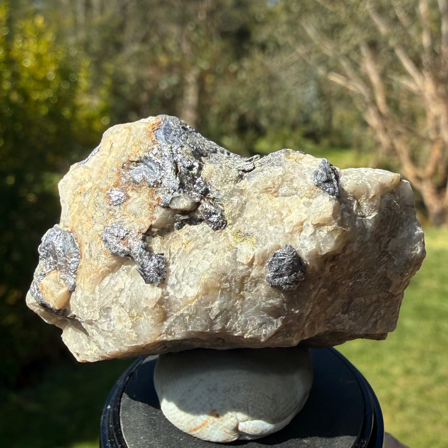 Molybdenite from Kingsgate, NSW, view 1 of 4