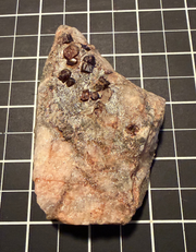 Garnet on matrix from White Well, Western Australia, view 1 of 2