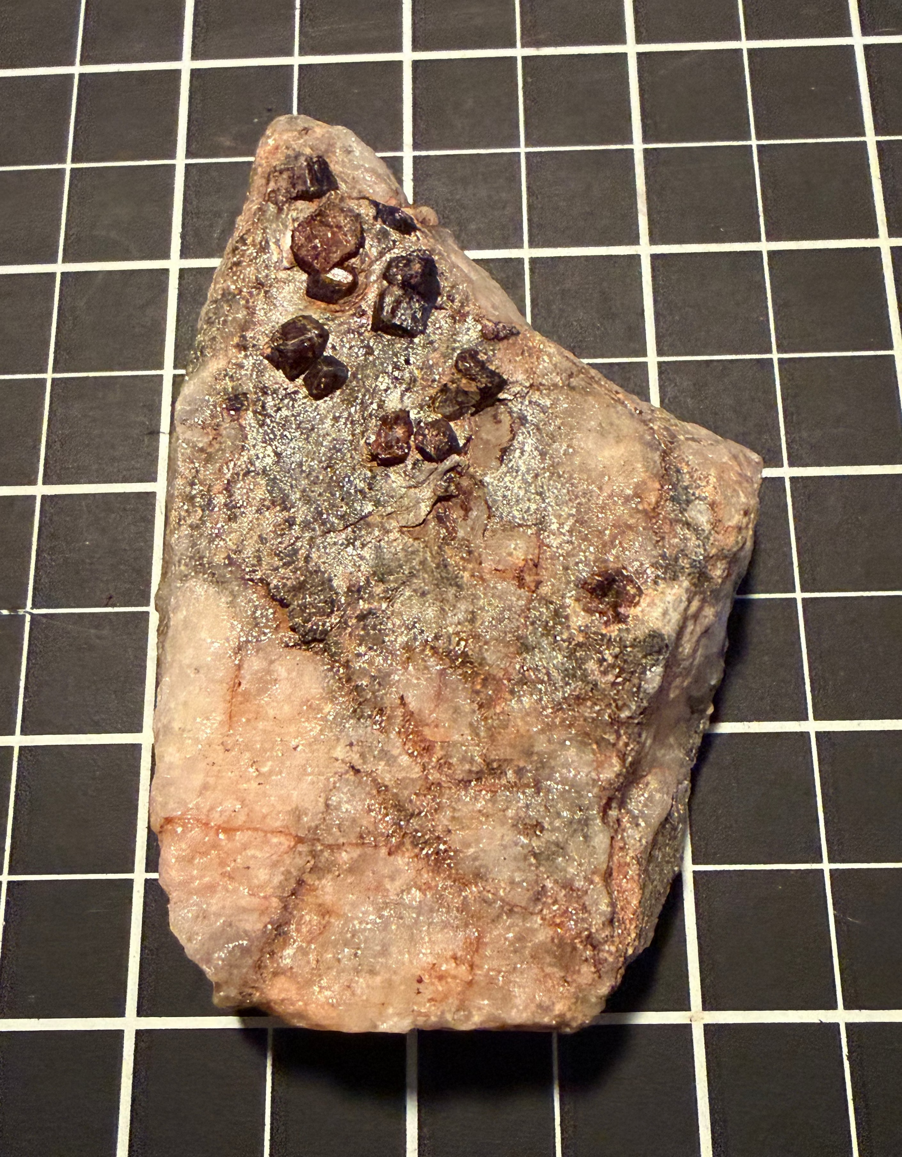 Garnet on matrix from White Well, Western Australia, view 1 of 2