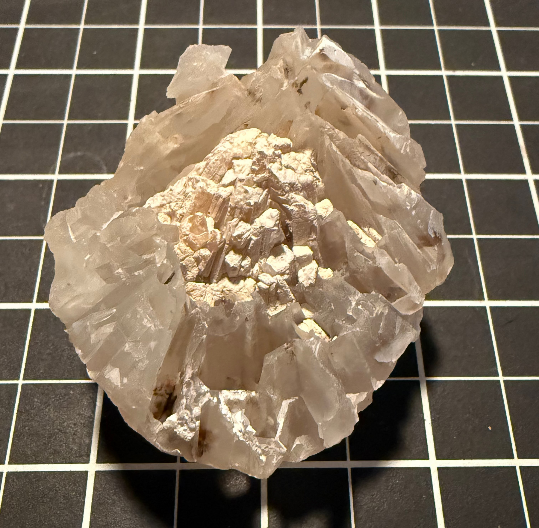 Chalcedony from the Bowen Basin, Queensland, view 1 of 3
