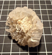 Chalcedony from the Bowen Basin, Queensland, view 3 of 3