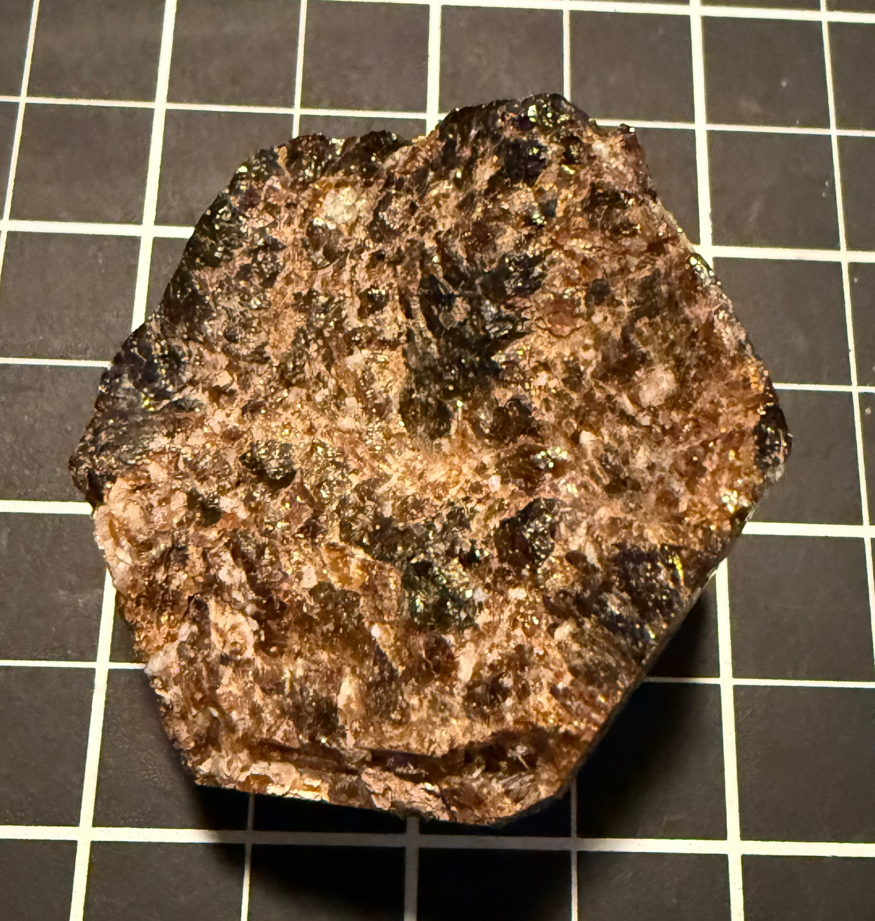 Dravite from Yinnietharra, Western Australia, view 3 of 3