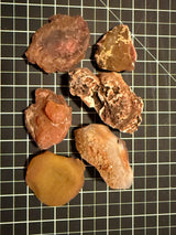 Rough agate lot from Agate Creek, Queensland