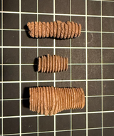 Crinoid stem sections from Gascoyne Junction, Western Australia, view 1 of 2