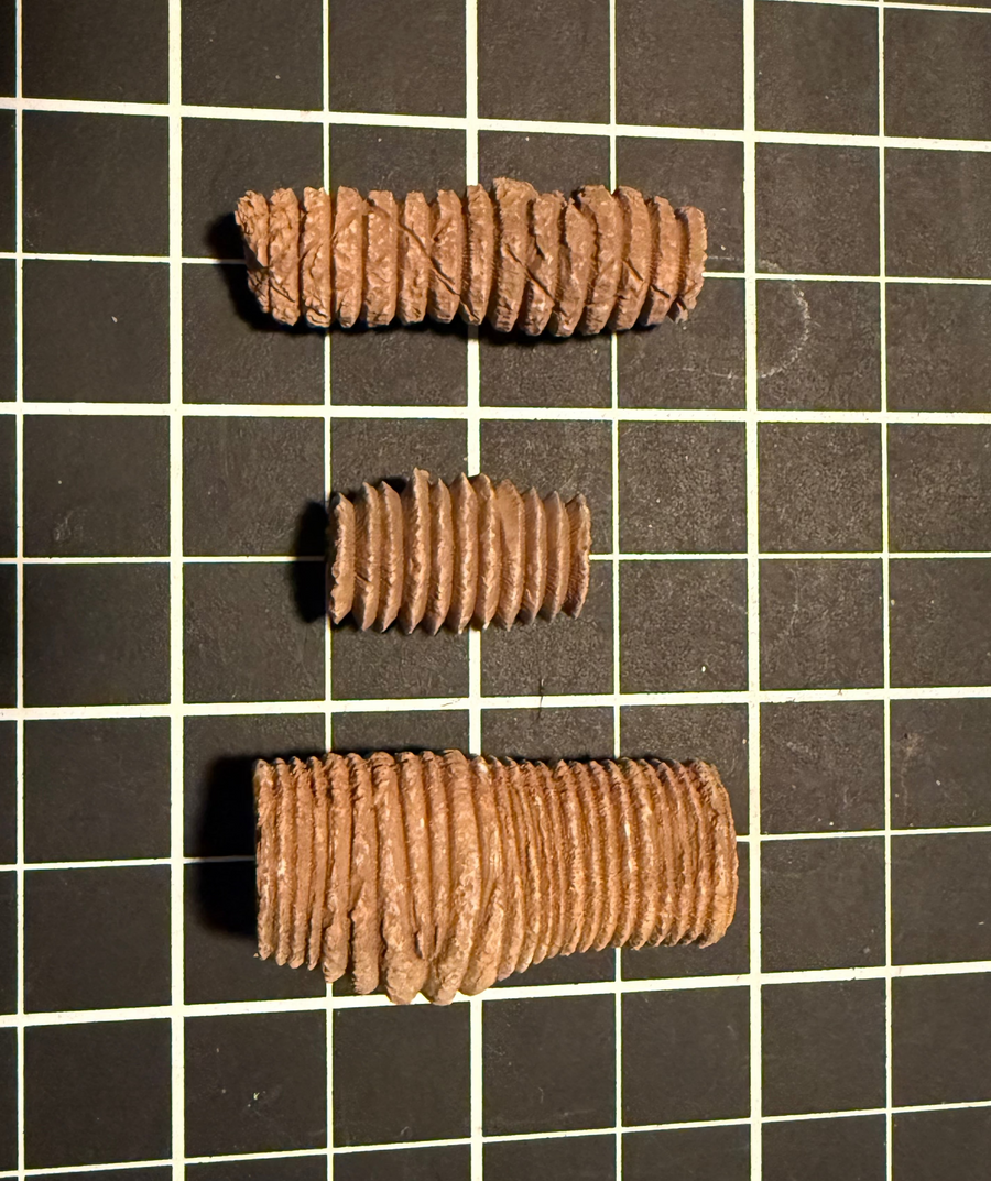 Crinoid stem sections from Gascoyne Junction, Western Australia, view 1 of 2