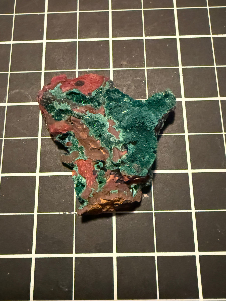Atacamite with malachite from Mount Gunson, South Australia, view 2 of 2