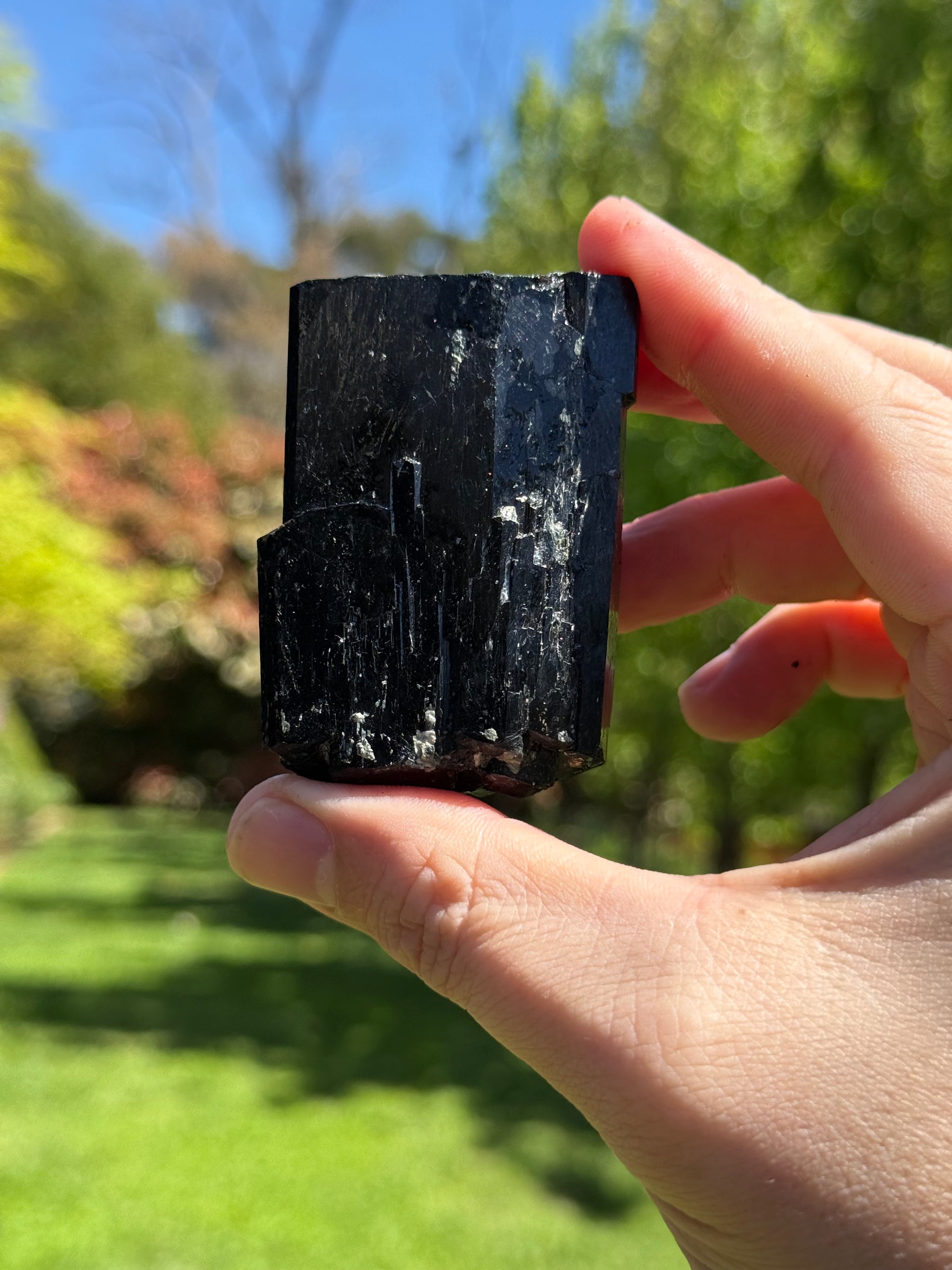 Tourmaline from Yinnietharra, Western Australia, view 3 of 3