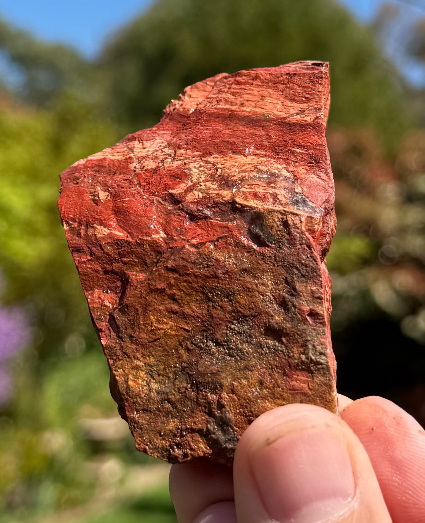 Snakeskin jasper rough from Turee Creek, Western Australia, view 2 of 2