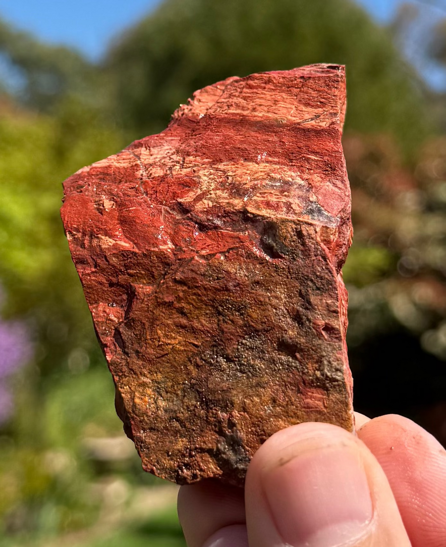 Snakeskin jasper rough from Turee Creek, Western Australia, view 2 of 2