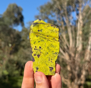 Stichtite in serpentine from Dundas, Tasmania, view 1 of 3