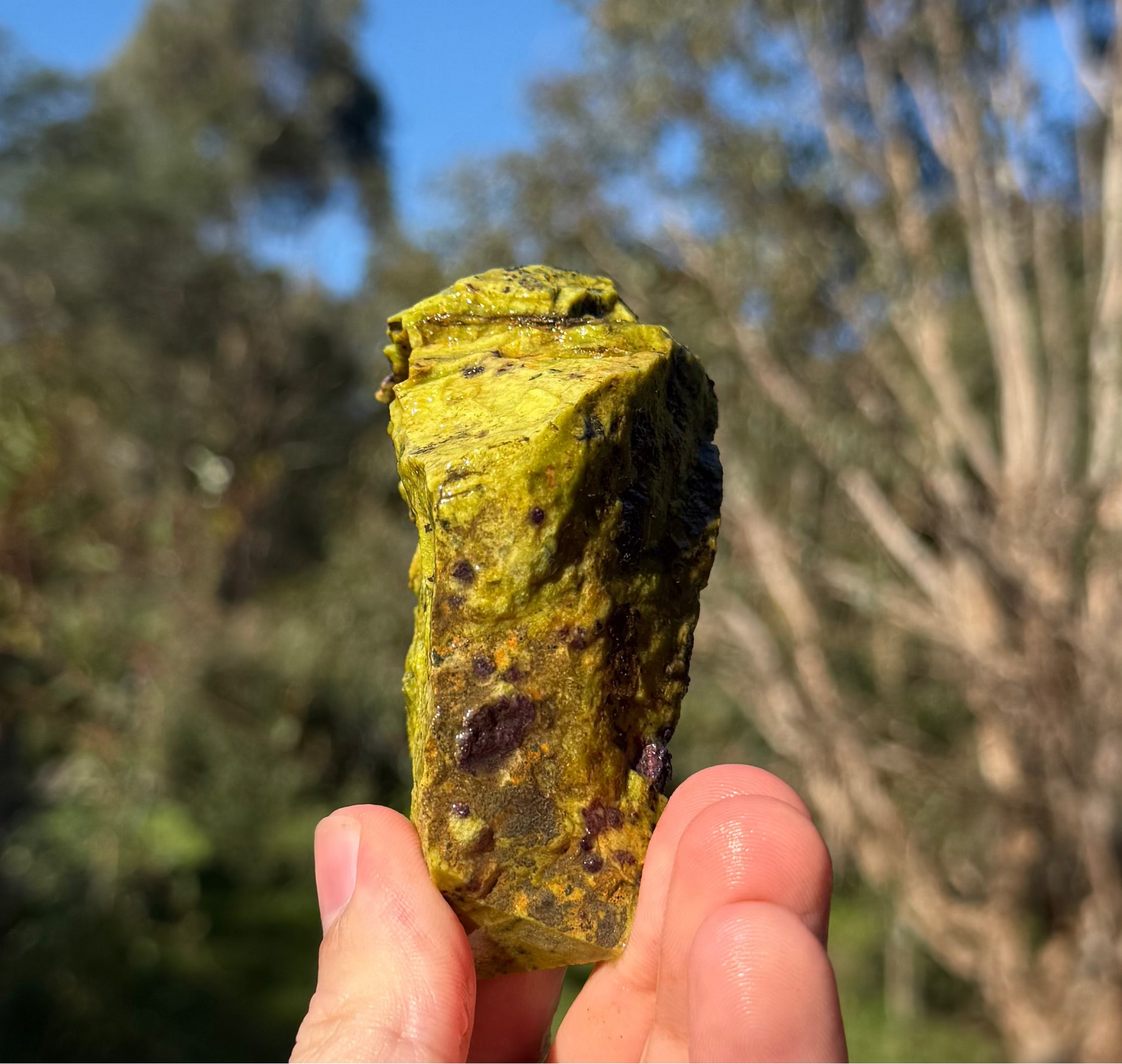 Stichtite in serpentine from Dundas, Tasmania, view 3 of 3