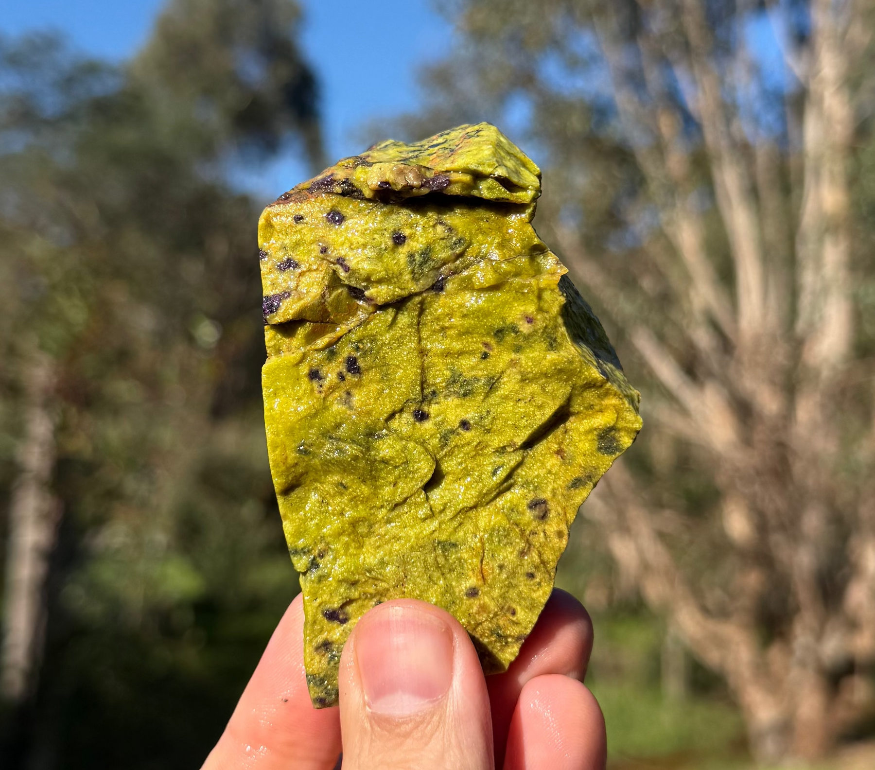 Stichtite in serpentine from Dundas, Tasmania, view 2 of 3